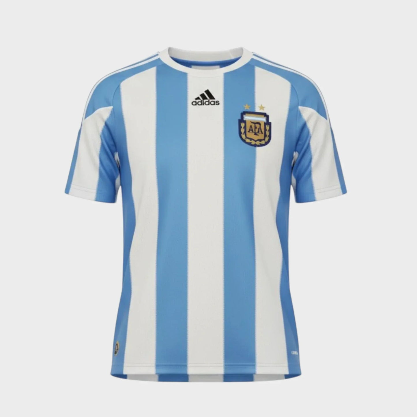 Camisa Argentina I 2010