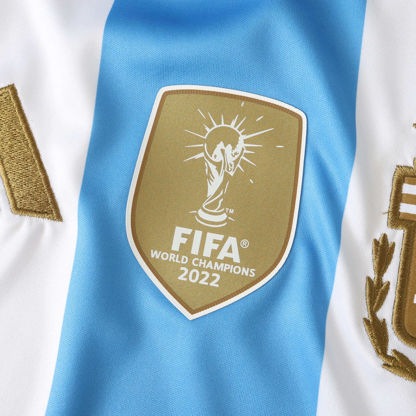 Camisa Argentina I 2024